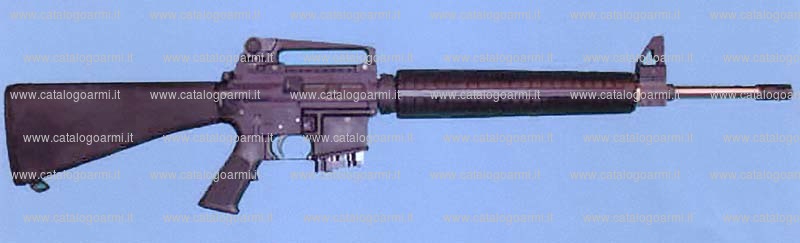 Fucile GM Tecno modello AR 15 (14362)