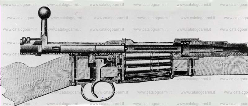 Fucile Mauser modello 1893 Corto (2742)