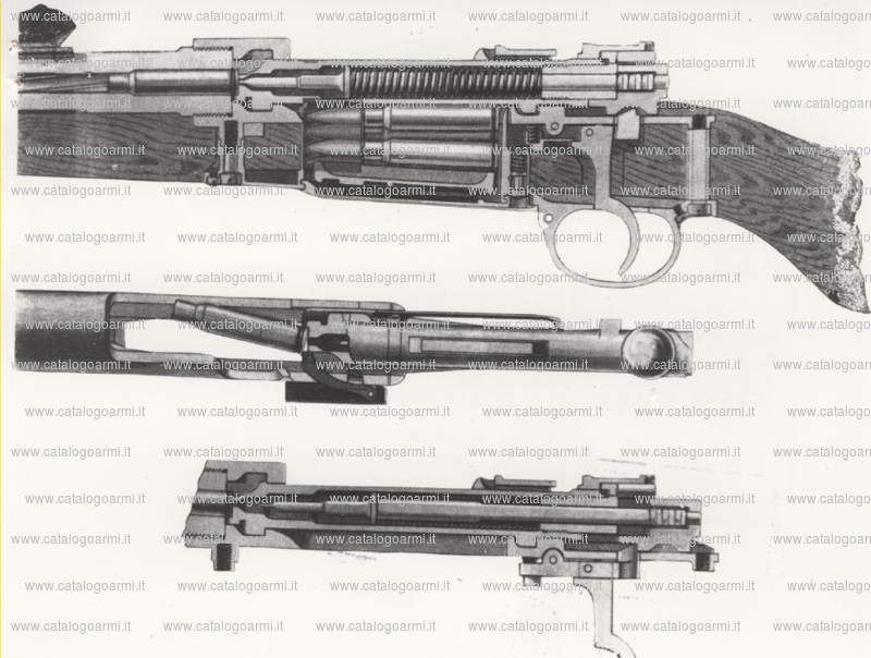 Fucile Mauser modello 1903 (4678)