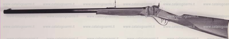 Fucile PEDERSOLI DAVIDE & C modello Sharps 1874 sporting (10650)