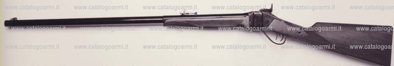 Fucile PEDERSOLI DAVIDE & C modello Sharps Target (10594)