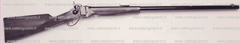 Fucile PEDERSOLI DAVIDE & C modello Sharps Target (10594)