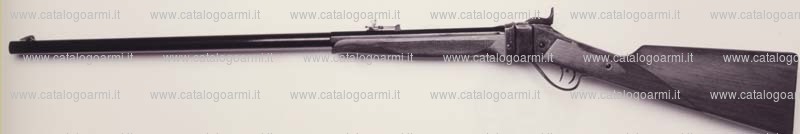 Fucile PEDERSOLI DAVIDE & C modello Sharps Target (10595)