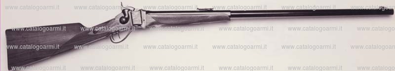 Fucile PEDERSOLI DAVIDE & C modello Sharps Target (10597)