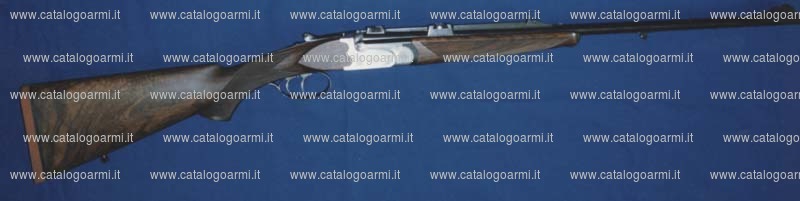 Fucile Perugini Visini & Co. modello P. V. (11310)