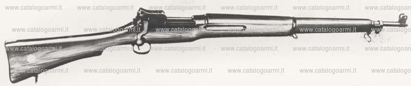 Fucile Remington modello 14 (2209)