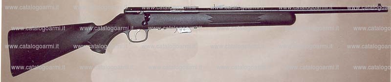 Fucile Savage Arms Canada modello 93 (16674)