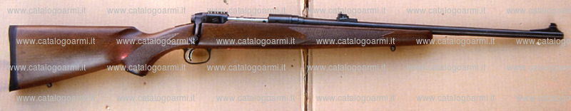 Fucile Savage Arms Inc. modello Sierra 10 FM (15001)