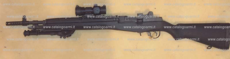 Fucile Springfield Armory modello Scout Suad M 1A (14643)