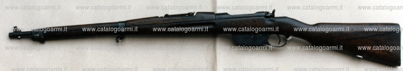 Fucile Steyr modello 95 M (5174)