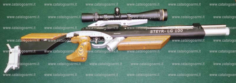 Fucile Steyr modello LG 100 (13719)