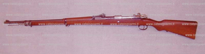 Fucile Waffenfabrik Mauser modello 1909 (14016)