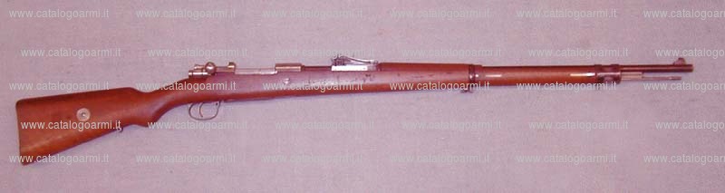 Fucile Waffenfabrik Mauser modello 1909 (14016)