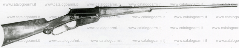 Fucile Winchester modello 1895 (6178)
