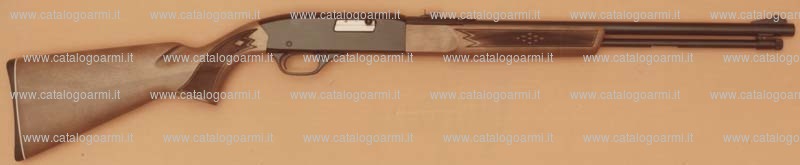 Fucile Winchester modello 190 (289)