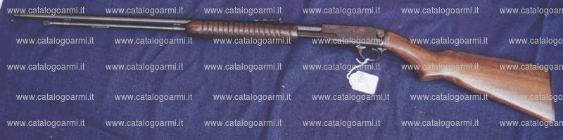 Fucile Winchester modello 61 (12297)