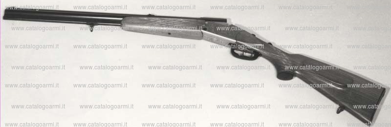 Fucile combinato BLASER modello ES 63 (2146)