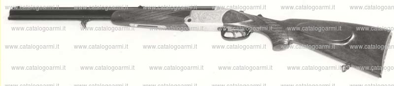 Fucile combinato BLASER modello ES 70 (2077)