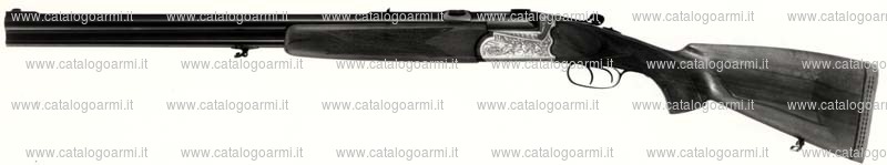 Fucile combinato Di Gaspero Roberto modello RDG (3453)