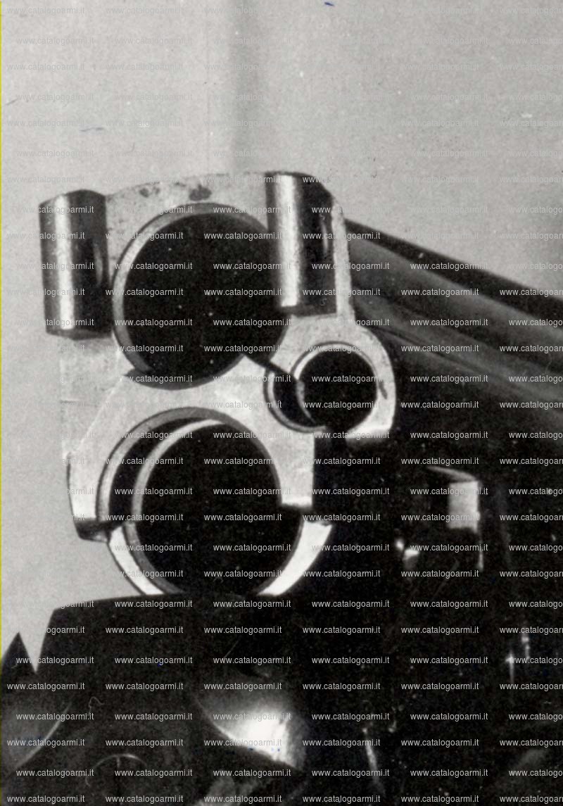 Fucile combinato Gottfried Juch modello 41 (3336)