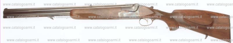 Fucile combinato Sauer modello BBF (14834)