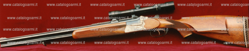 Fucile combinato Karl Hauptmann modello 33 (8287)