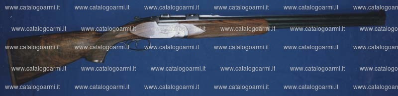 Fucile combinato Perugini Visini & Co. modello P. V. C. (10536)