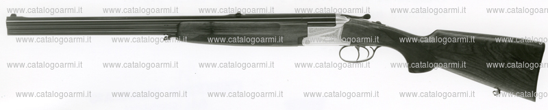 Fucile combinato Bernardelli modello Comb 2000 (6095)