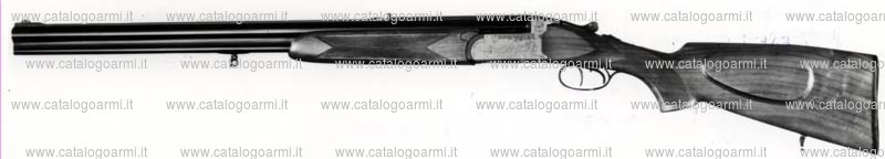 Fucile combinato Zoli Antonio modello Combinato SP-Safari (3233)