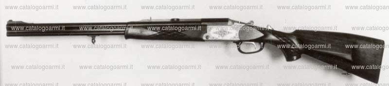 Fucile express BLASER modello B 810 (3597)