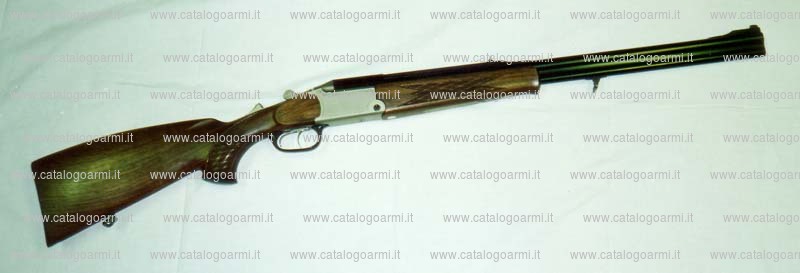 Fucile express BLASER modello BBF 95 (13773)
