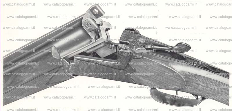Fucile express Concari modello Panther (836)