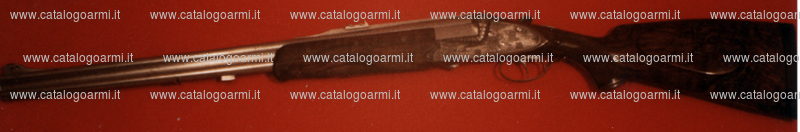 Fucile express Concari modello Panther (estrattore automatico) (5074)