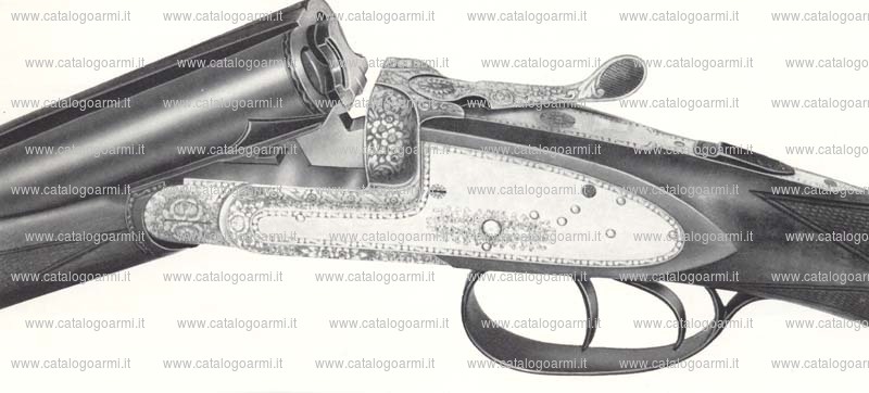 Fucile express Concari modello wild-boar (852)
