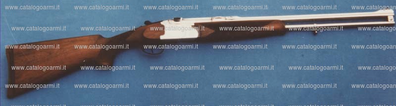 Fucile express Guerini A. modello Roe buck (10960)