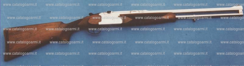 Fucile express Guerini A. modello Roe buck (10961)