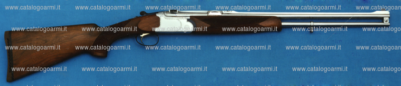 Fucile express Guerini A. modello Roe buck (tacca di mira regolabile estrattori automatici) (7016)
