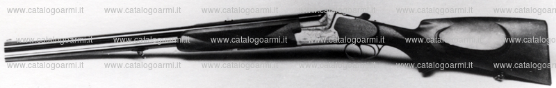 Fucile express Heym modello 55 B (5368)