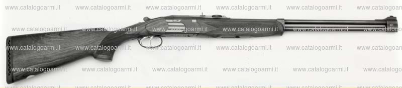 Fucile express Beretta Pietro modello Express (3570)