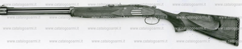 Fucile express Beretta Pietro modello Express S 689 e (9224)