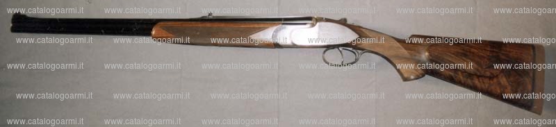 Fucile express Perugini Visini & Co. modello P. V. C. (12743)