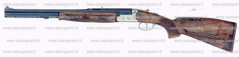 Fucile express Zoli Antonio modello Focus (16494)