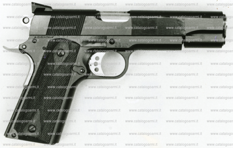 Pistola ADC ARMI DALLERA CUSTOM modello Master (finitura brunita o cromata) (7884)