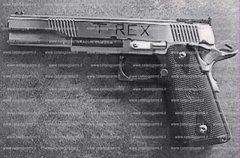 Pistola Amadini modello T-rex Target (mire regolabili) (12267)