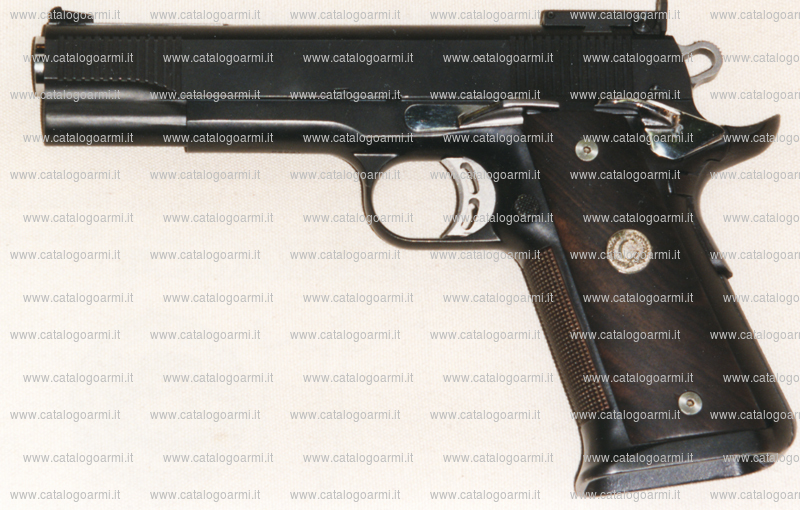Pistola Caspian modello Hybrid (tacca di mira regolabile) (7772)