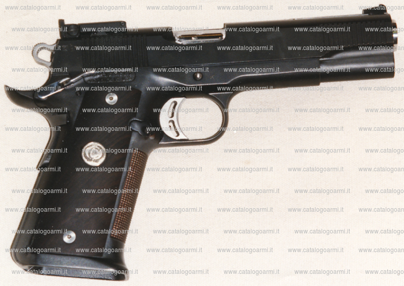 Pistola Caspian modello Hybrid (tacca di mira regolabile) (7865)