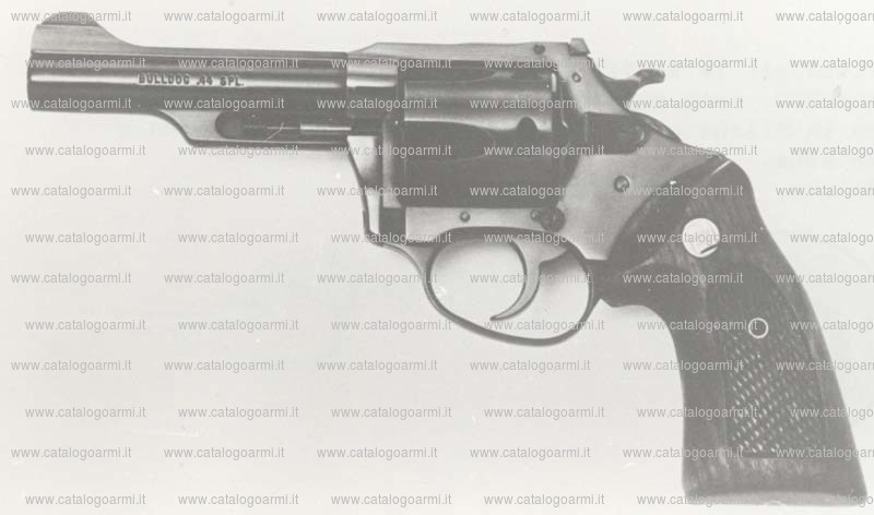 Pistola Charter Arms modello 34431 Bulldog (2199)