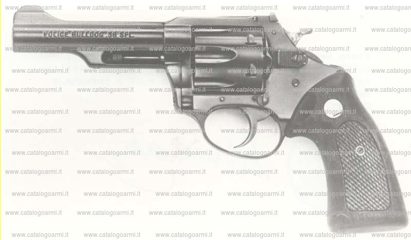 Pistola Charter Arms modello 53842 Police Bulldog (2201)