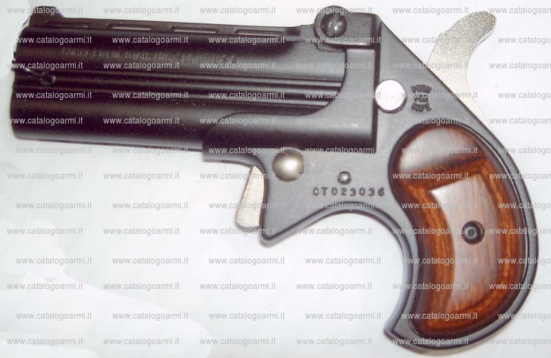 Pistola Cobra Enterprises Inc. modello Derringer (16574)