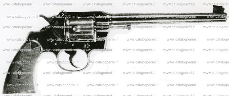 Pistola Colt modello 1904 Officer (mire regolabili) (7543)